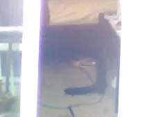 Lesbijki lizać sobie cipeczki do lizania nawzajem 3