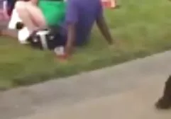 Kot namiętne lizanie cipki